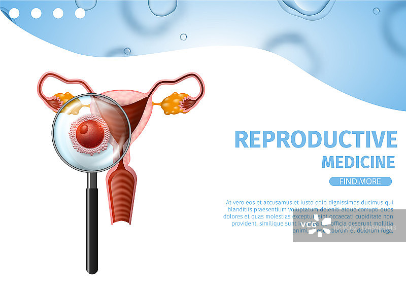 精子游向女性卵子女性子宫banner图片素材