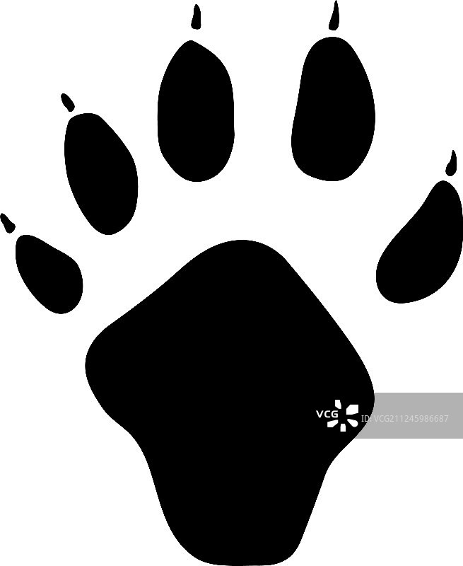 印度貂足迹图片素材