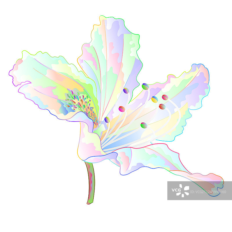 彩色杜鹃花光照山景图片素材