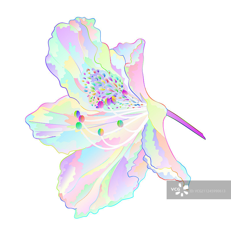 彩色杜鹃花山地灌木图片素材