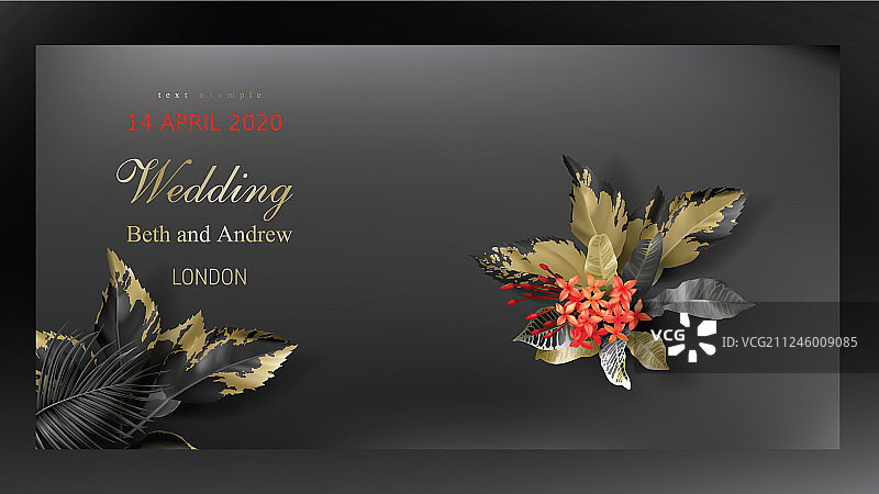 热带黑色和金色的叶子在黑暗的背景图片素材