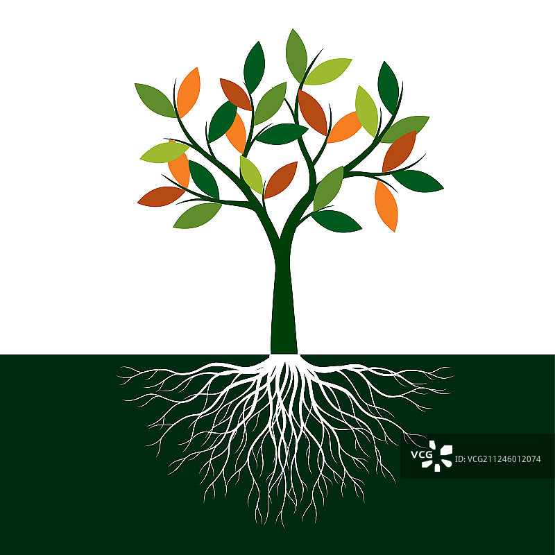 彩色树的生命之根图片素材