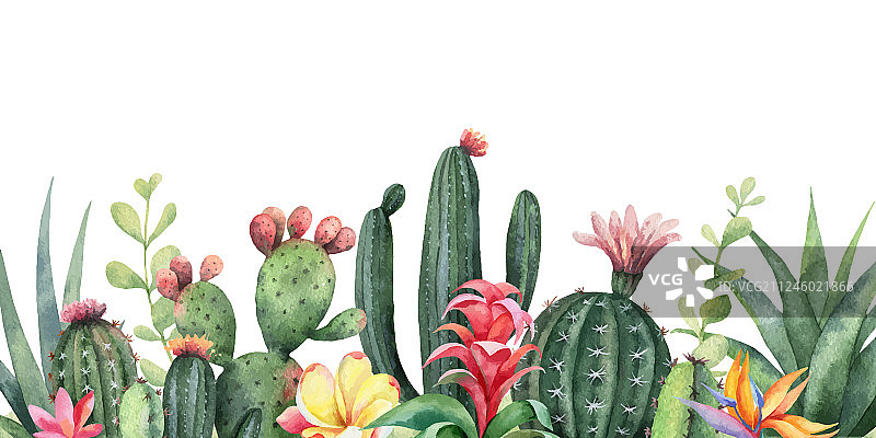 热带花卉水彩banner图片素材