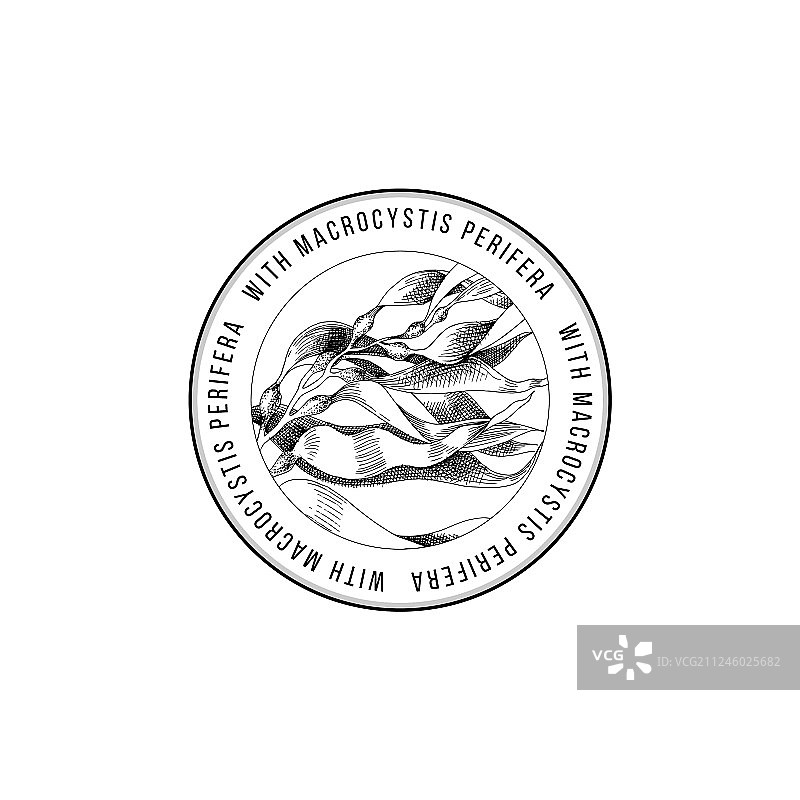 手绘巨藻圆形标志图片素材