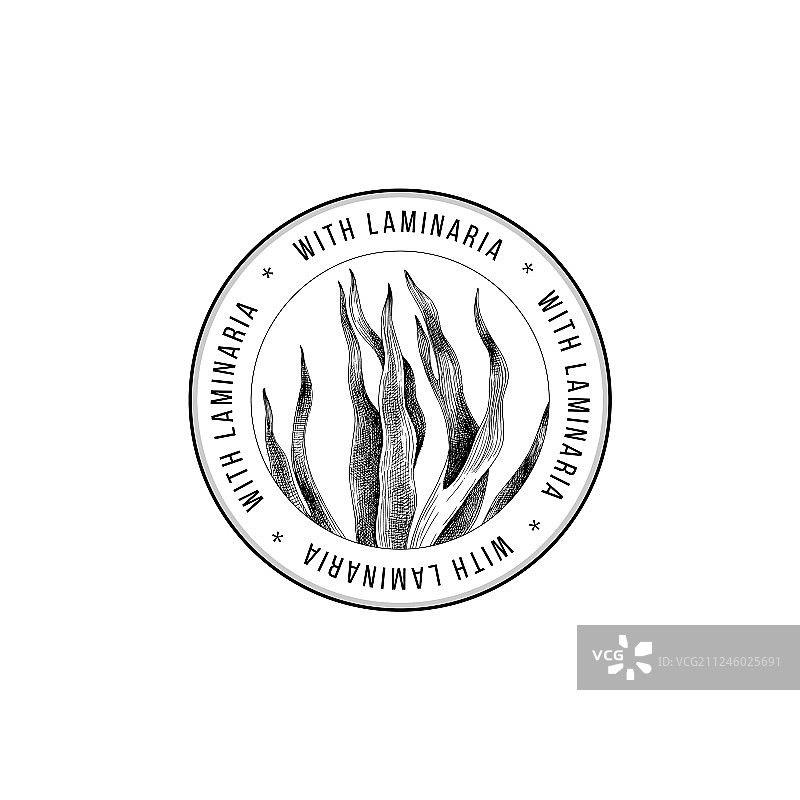 手绘海带的圆形标志图片素材