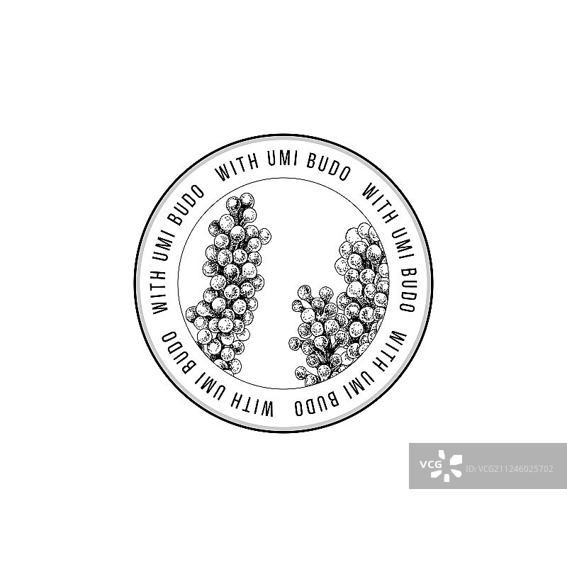 手绘海葡萄圆形标志图片素材