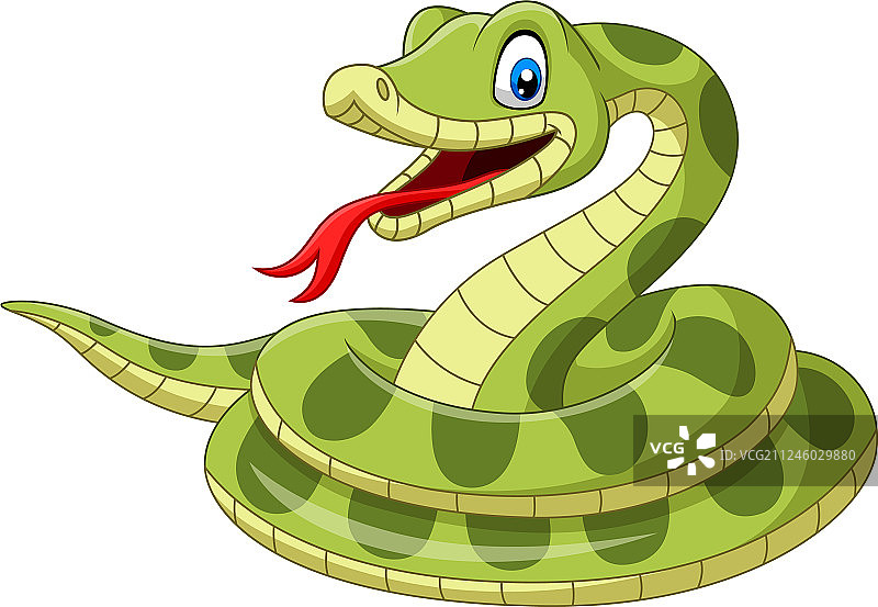 白色背景上的卡通绿色蛇图片素材