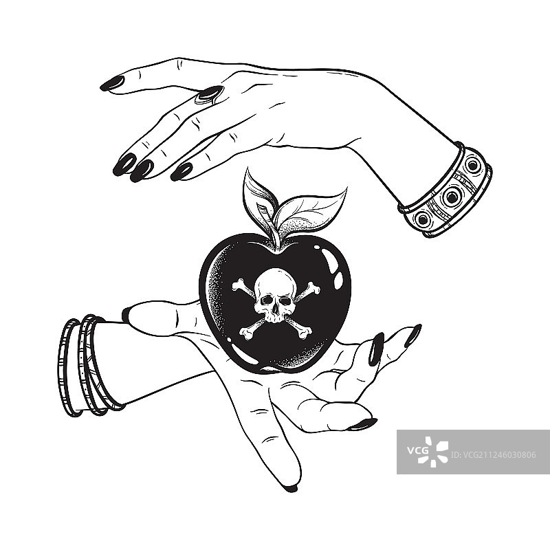 女巫手中的毒苹果线条艺术图片素材
