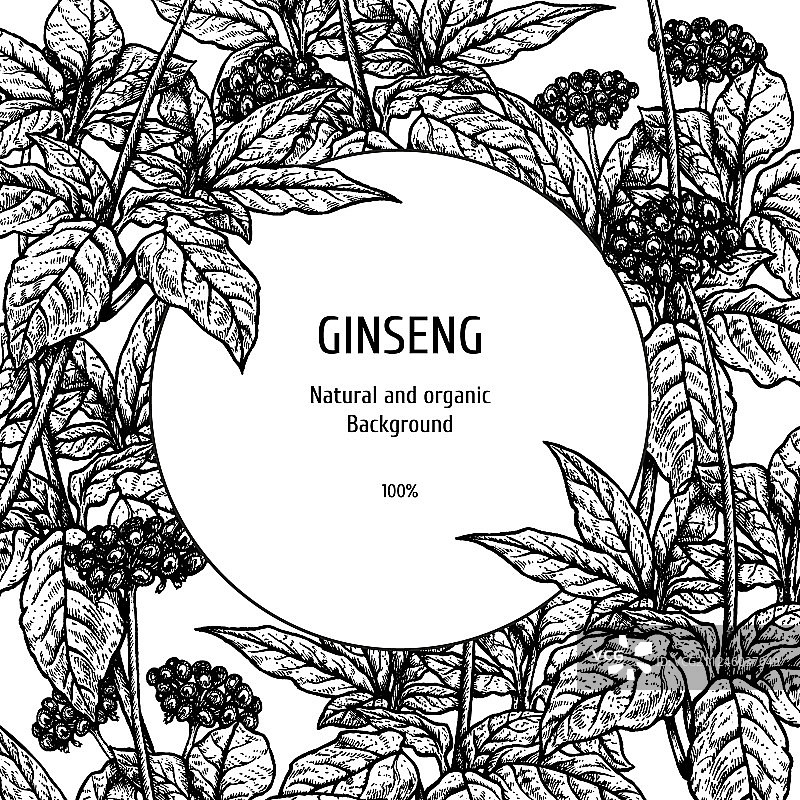 手绘复古人参背景图片素材