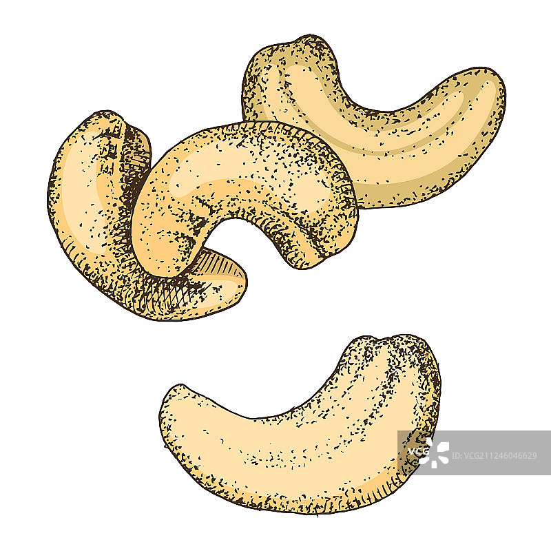 手绘腰果，白色背景图片素材