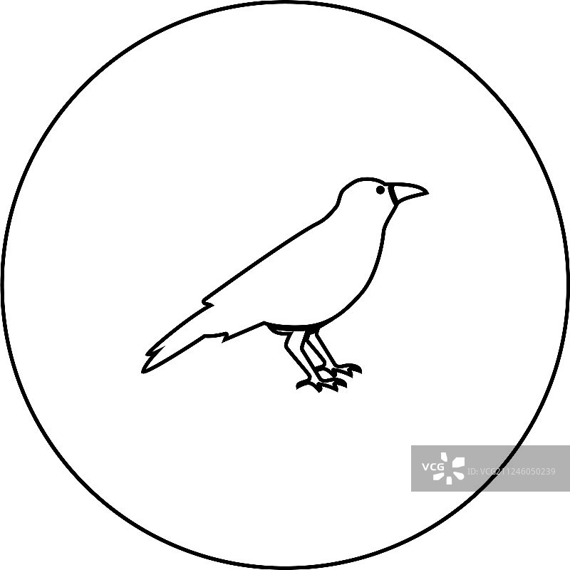 圆形轮廓黑色乌鸦图标图片素材