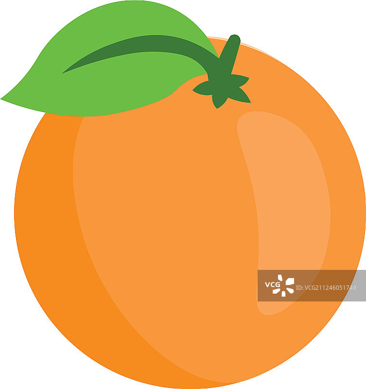 橙子组合白色背景抠图图片素材