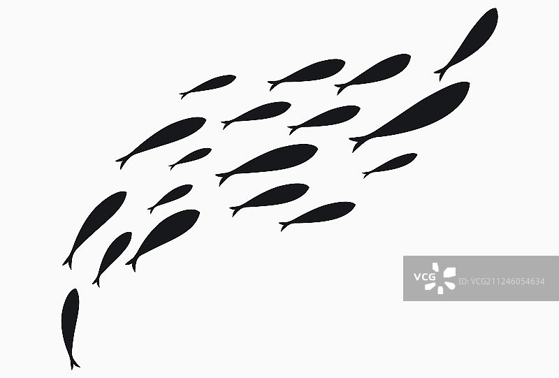 鱼群剪影图片素材