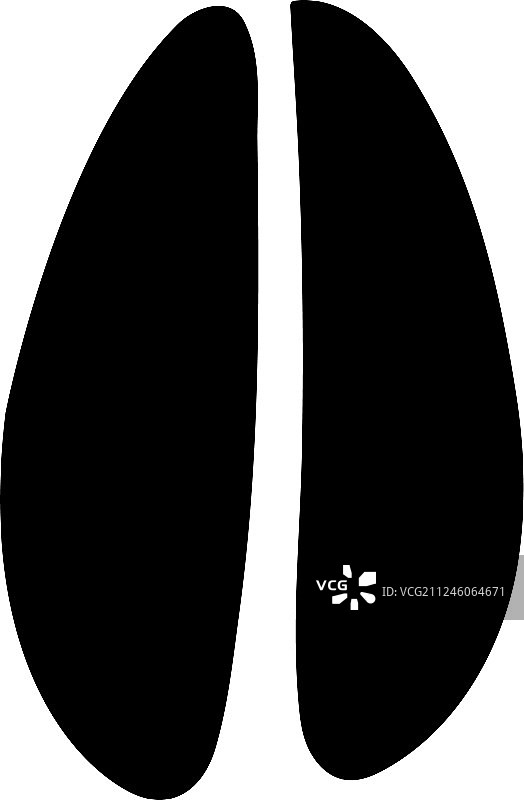 东北马鹿足迹图片素材