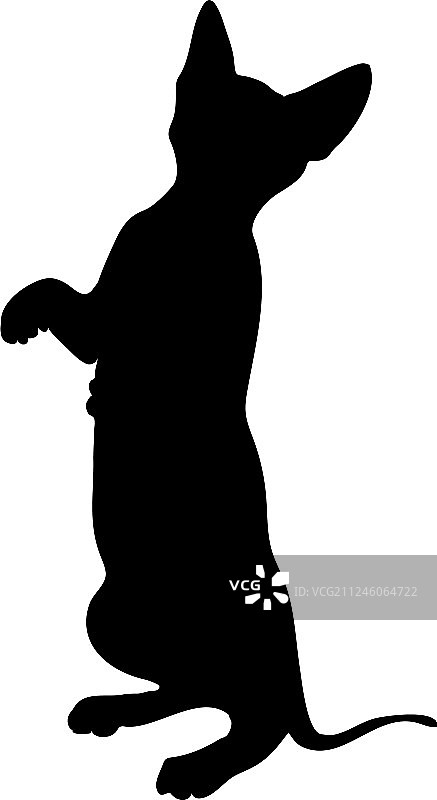 猫的轮廓图片素材