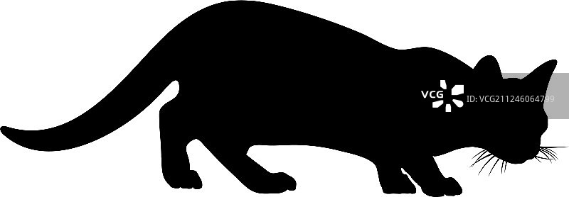 猫的轮廓图片素材