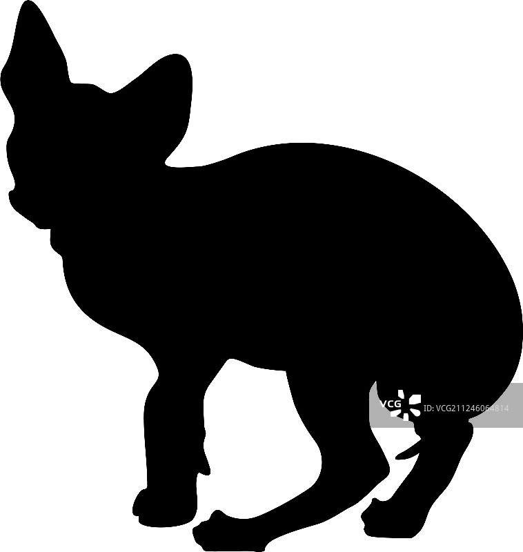 猫的轮廓图片素材