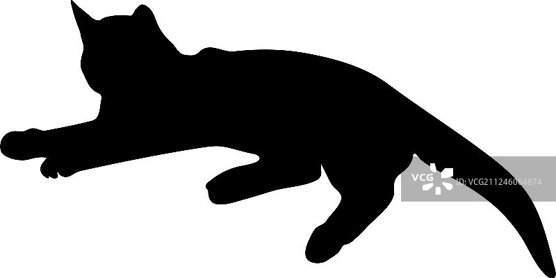 猫的轮廓图片素材