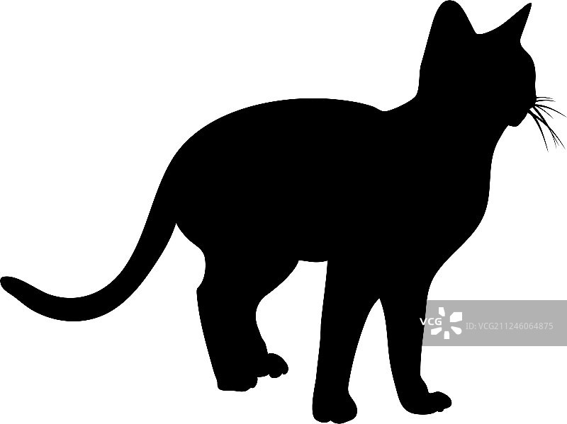 猫的轮廓图片素材