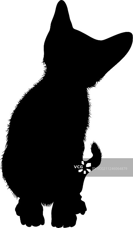 猫的轮廓图片素材