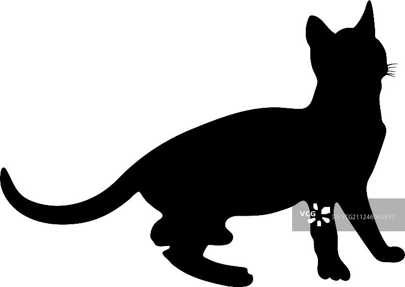 猫的轮廓图片素材