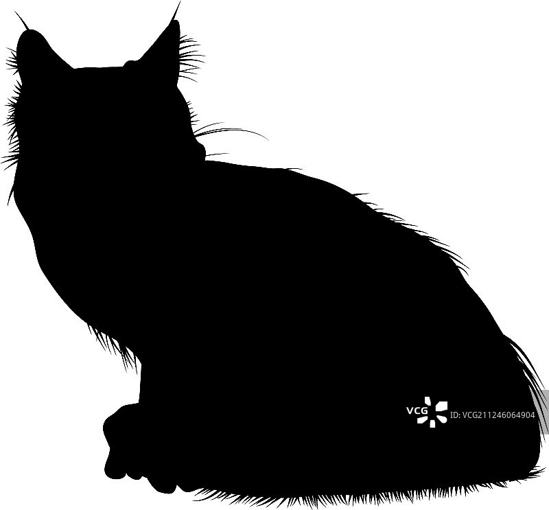 猫的轮廓图片素材