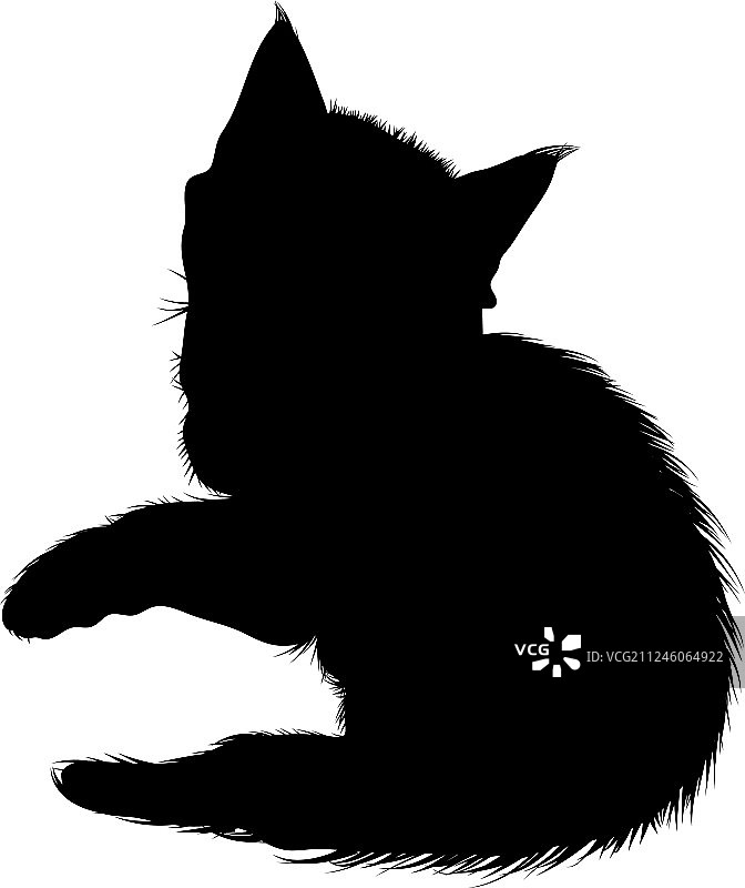 猫的轮廓图片素材