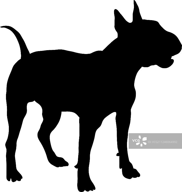 斗牛㹴犬剪影图片素材