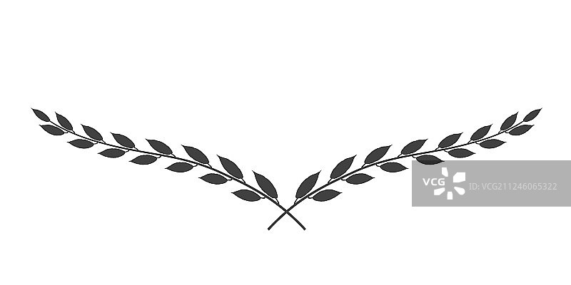 白色背景上的月桂花环图片素材