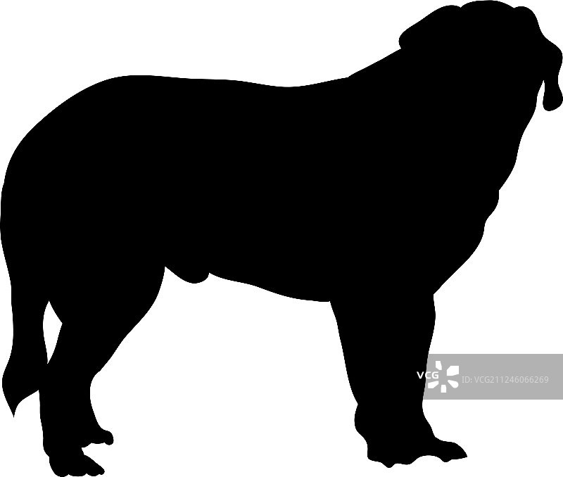 圣伯纳犬剪影图片素材