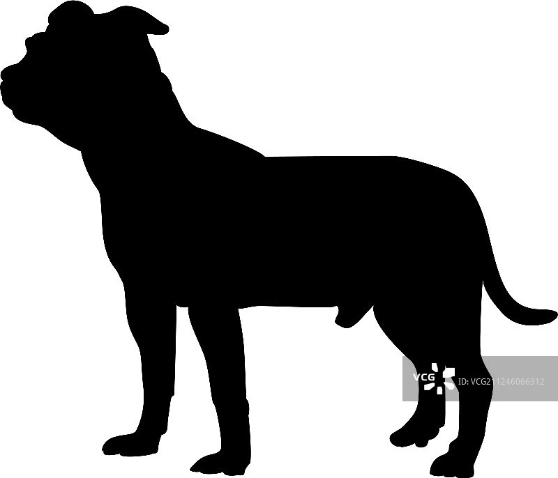 斯塔福德郡梗犬剪影图片素材