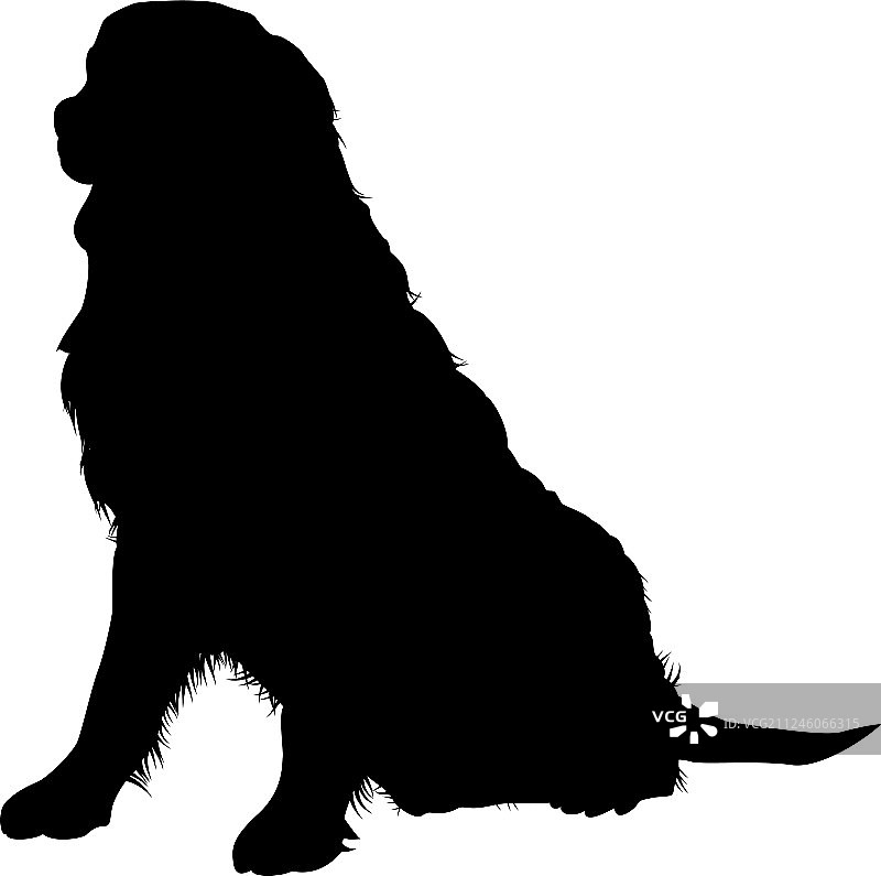 伯恩山犬剪影图片素材