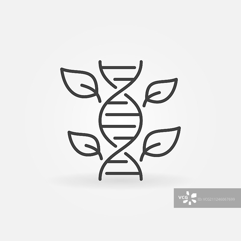 具有DNA概念的树叶轮廓图标图片素材