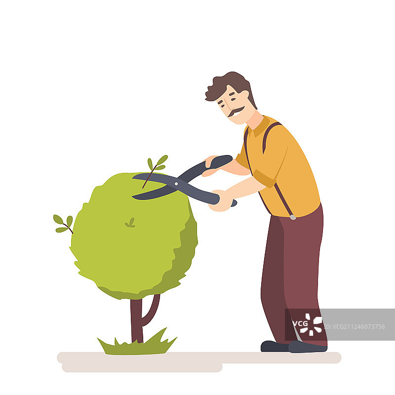 园丁修剪花园树木，工人修剪树篱图片素材