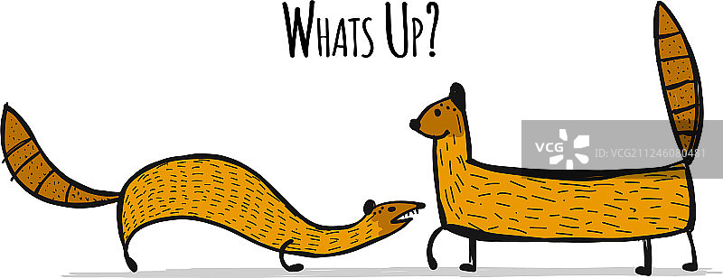 趣味猫鼬素描设计图片素材