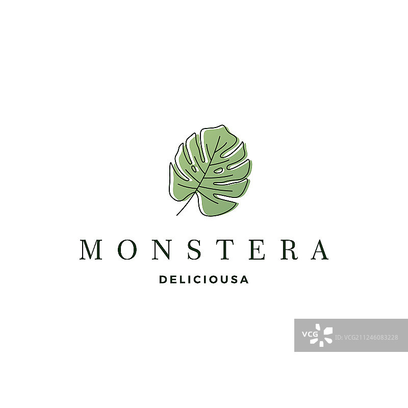 龟背竹叶logo图标图片素材