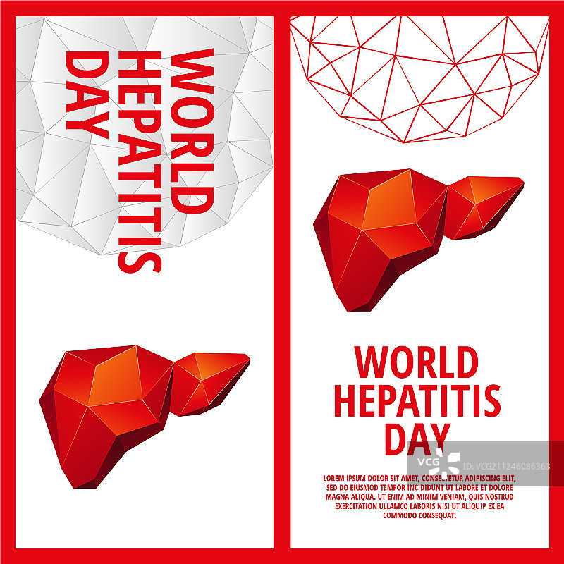 世界肝炎日宣传单模板图片素材