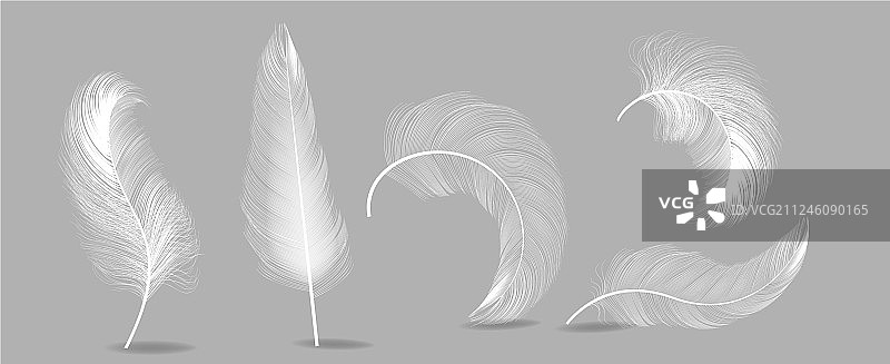 白色羽毛与健康睡眠图片素材