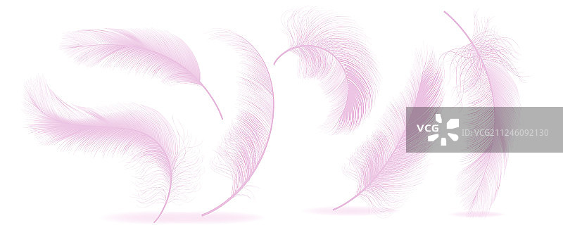 不同掉落的蓬松粉色羽毛图片素材