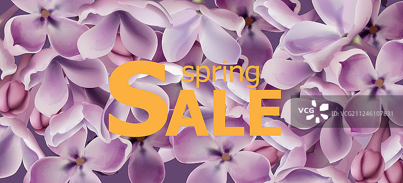 紫色丁香花春季背景图片素材