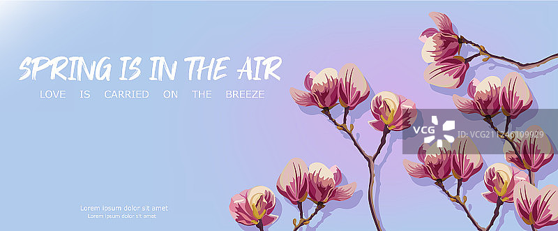 美丽的春天玉兰花贺卡图片素材