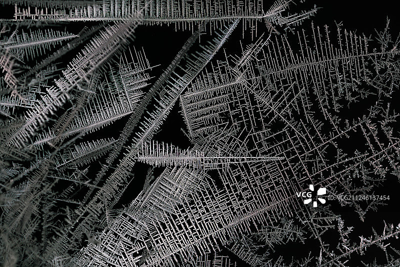 金属置换反应金属锡晶体生长图案微距科普摄影创意摄影图片素材