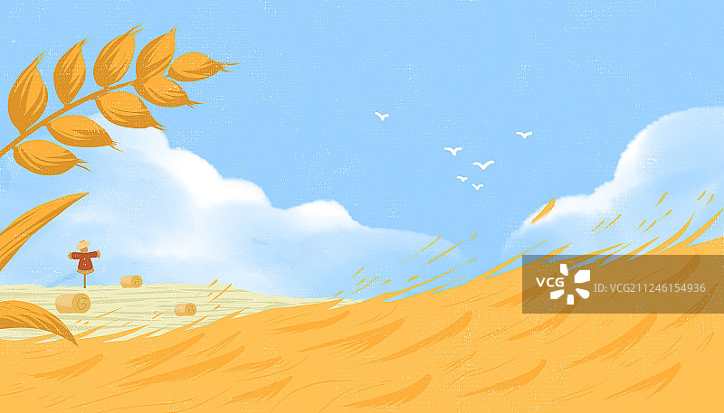 芒种时节收割小麦的田野和稻草人图片素材