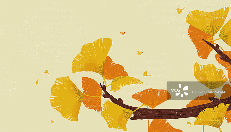 银杏树叶插画元素图片素材