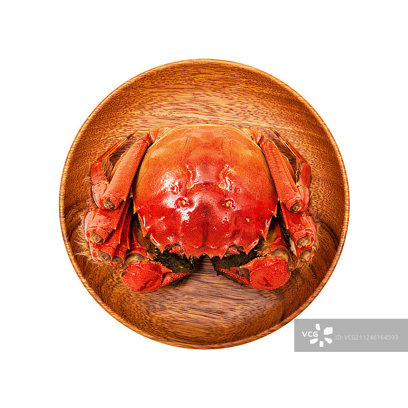 一只煮熟的大闸蟹图片素材