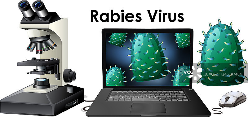 狂犬病病毒分离物体特写图片素材