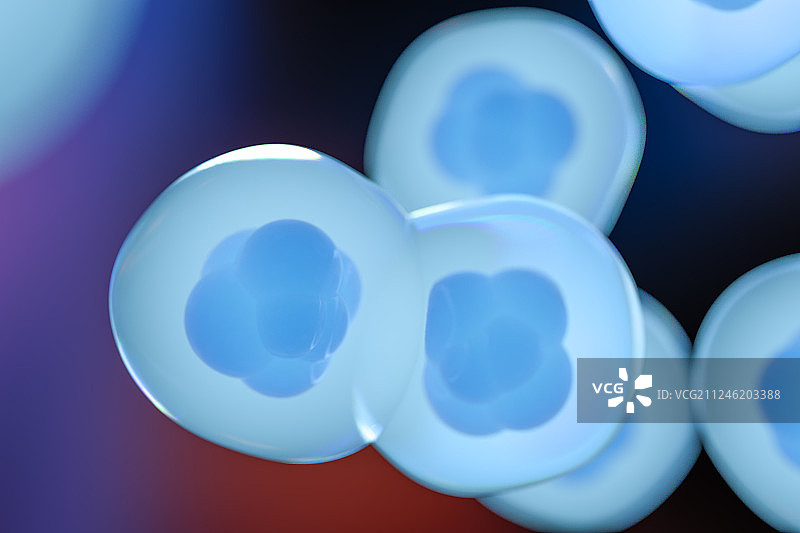 细胞与色彩丰富的背景 三维渲染图片素材