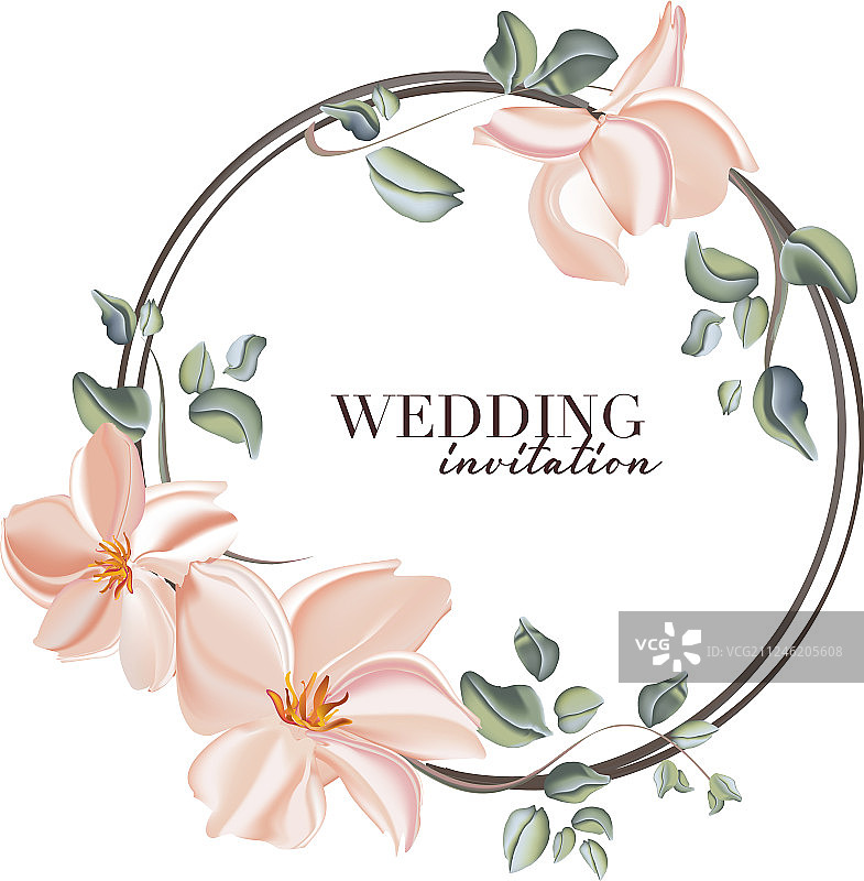 玫瑰叶子装饰婚礼概念花卉图片素材