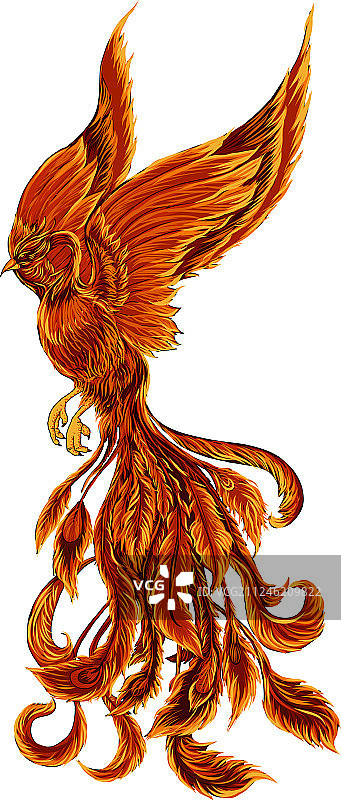 白色背景下的鱼特写图片素材