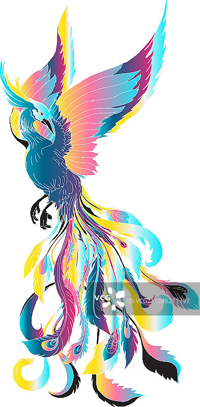 凤凰火焰鸟图片素材